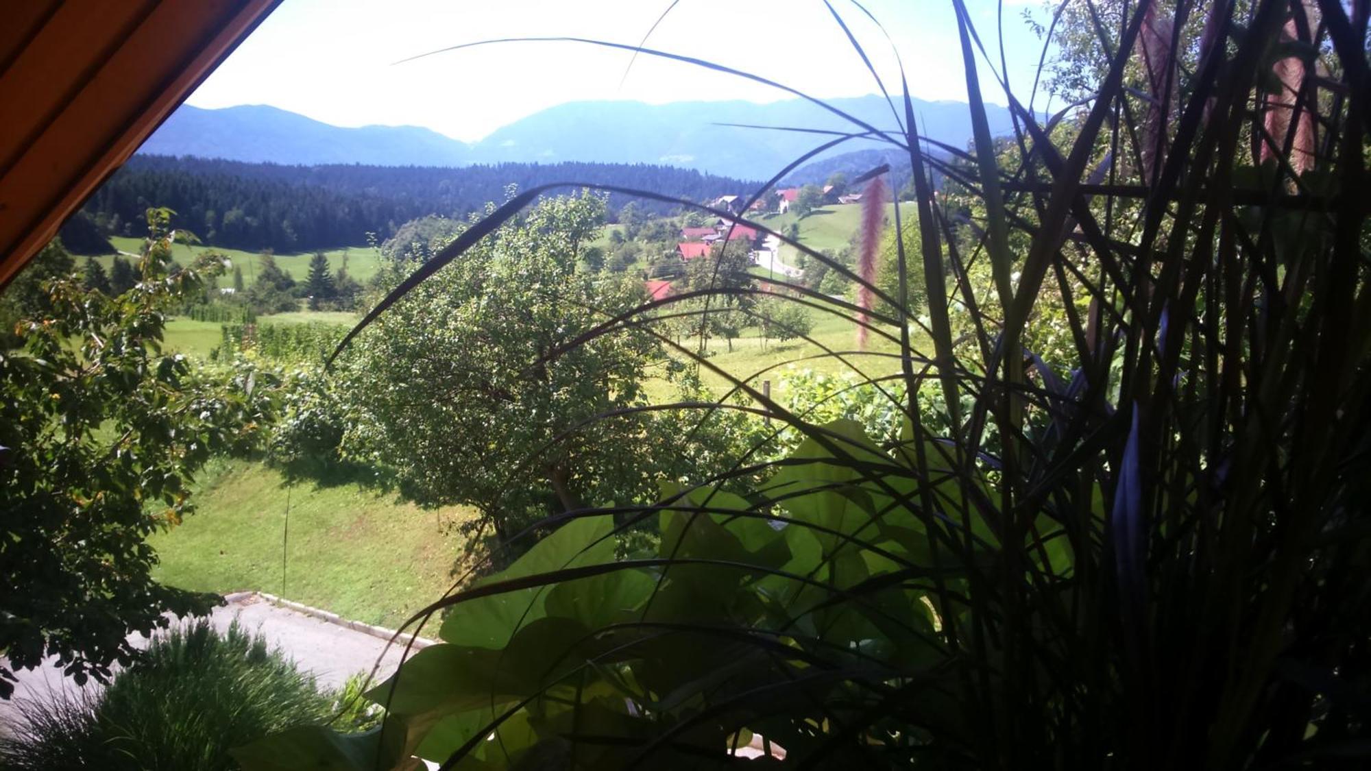Apartment Beli Zajec Mozirje Bagian luar foto